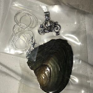 Pumpkin carriage pearl cage with chain and oyster